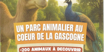 Parc animalier de Gascogne - Saint-Pé-Saint-Simon