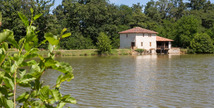 Etang de pêche de La Gaube - Arthez-d'Armagnac