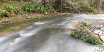 Rivière de pêche sur l'Estampon - Roquefort