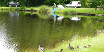 Etang de pêche de Sainte Foy - Sainte-Foy