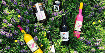 Domaine de Marquestau & Co - Hontanx