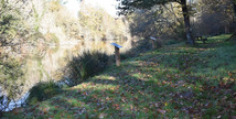 Site de Sabaille - Créon-d'Armagnac
