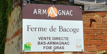 Ferme de Bacoge - Hontanx