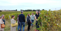 Domaine de Laubesse - Hontanx