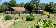 Henry's Lodge - Estigarde