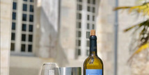 Scea Château Tour Blanc - Parleboscq