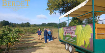Domaine du Berdet - Visite oenotouristique en remorque aménagée - Bourdalat