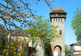 Beffroi de Hontanx - Hontanx