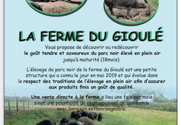 Porcs noirs plein air du Gioulé - Cazères-sur-l'Adour