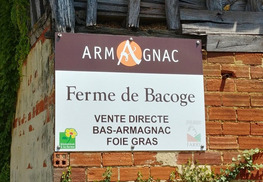 Ferme de Bacoge - Hontanx