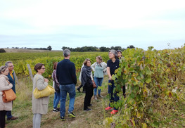 Domaine de Laubesse - Hontanx