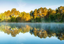 Lagunes de Nabias - Arue