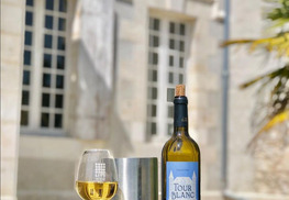 Scea Château Tour Blanc - Parleboscq