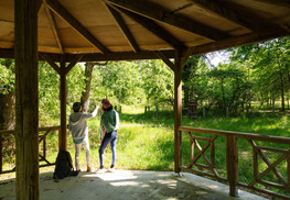 Arboretum - Vielle-Soubiran