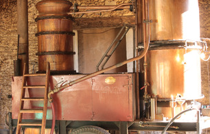 Domaine de Ravignan - Perquie