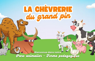 Chèvrerie du Grand Pin - Saint-Pé-Saint-Simon