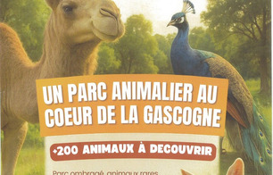 Parc animalier de Gascogne - Saint-Pé-Saint-Simon