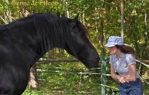 Ferme de l'Hecso - Betbezer-d'Armagnac