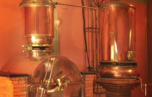 Domaine de Boingnères - Labastide-d'Armagnac