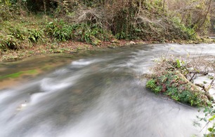 Rivière de pêche sur l'Estampon - Roquefort