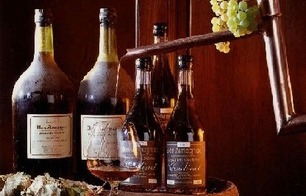 Domaine de Couillohe - Labastide-d'Armagnac