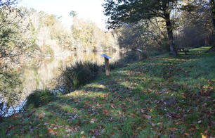 Site de Sabaille - Créon-d'Armagnac