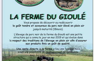 Porcs noirs plein air du Gioulé - Cazères-sur-l'Adour