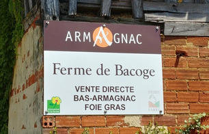 Ferme de Bacoge - Hontanx