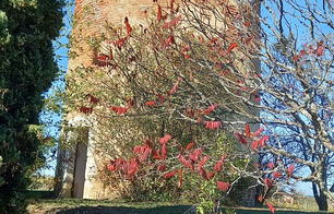 Le Moulin de Laballe - Parleboscq