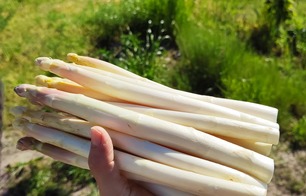 Ferme des Sables blancs - Cachen