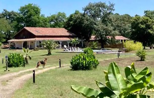 Henry's Lodge - Estigarde