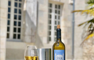 Scea Château Tour Blanc - Parleboscq
