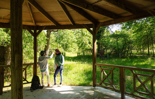 Arboretum - Vielle-Soubiran