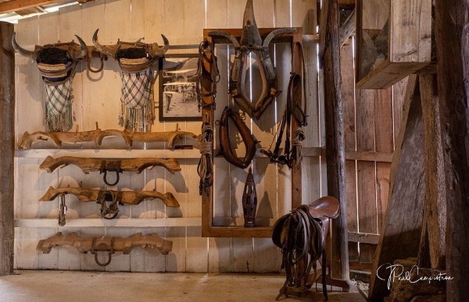 Musée du Paysan Gascon 6 - Toujouse