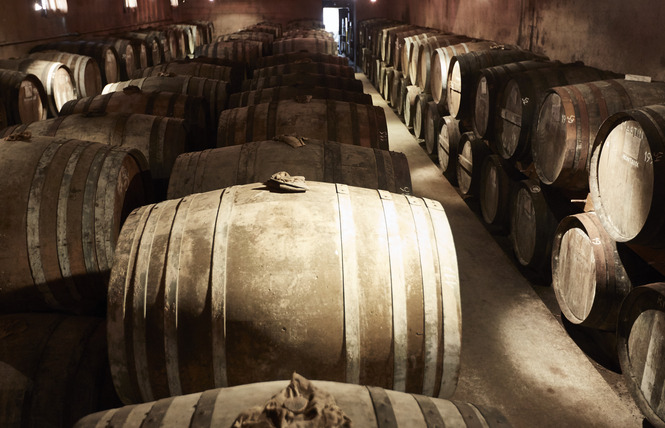 BAS ARMAGNAC DARROZE 5 - Roquefort