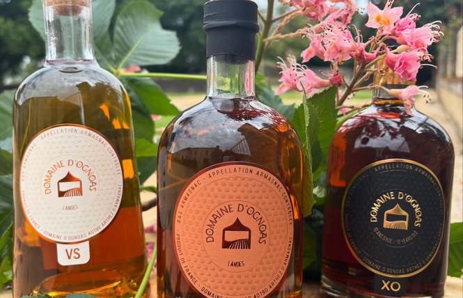 Domaine Départemental d'Ognoas 8 - Arthez-d'Armagnac