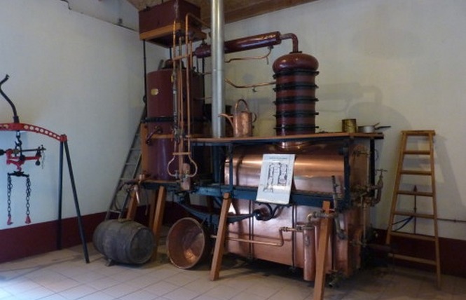 Domaine du Martin 1 - Hontanx