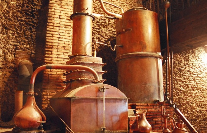 Domaine Départemental d'Ognoas 4 - Arthez-d'Armagnac