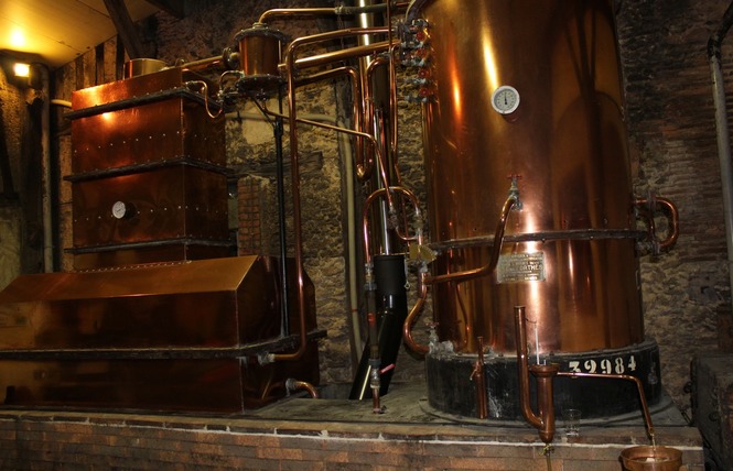 Ferme de Labouc 3 - Labastide-d'Armagnac