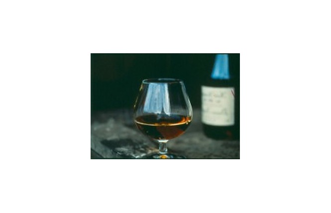Domaine de Luquet 4 - Labastide-d'Armagnac