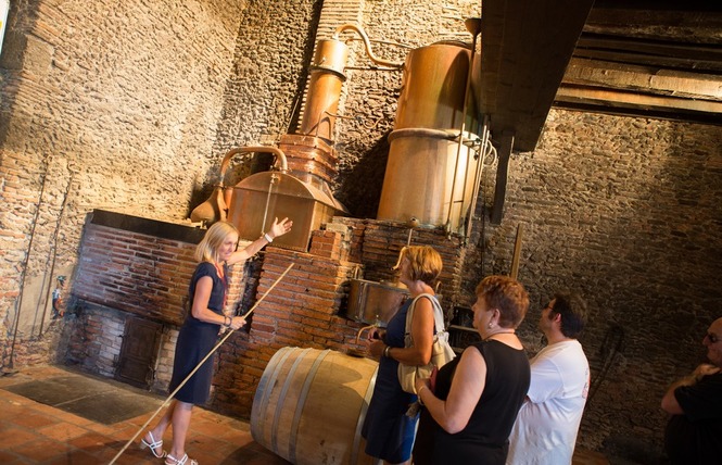 Domaine Départemental d'Ognoas 2 - Arthez-d'Armagnac