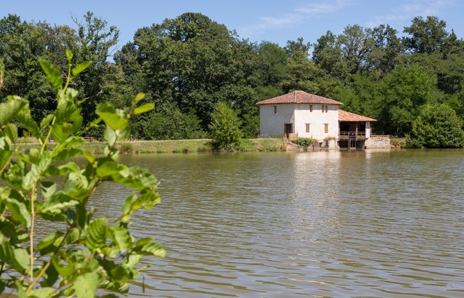 Etang de pêche de La Gaube 1 - Arthez-d'Armagnac