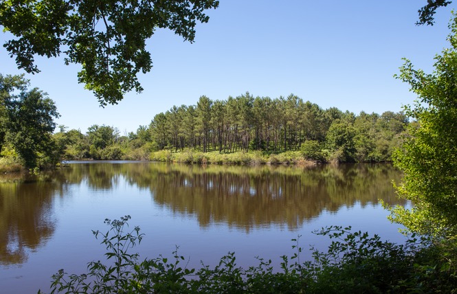 Lac de pêche de l'Armanon 1 - Parleboscq