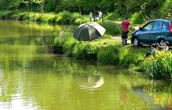 Etang de pêche de La Gaube 2 - Arthez-d'Armagnac