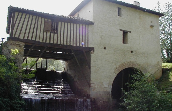 Etang de pêche de La Gaube 4 - Arthez-d'Armagnac