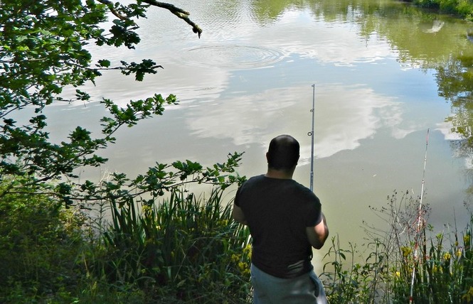 Etang de pêche de La Gaube 3 - Arthez-d'Armagnac