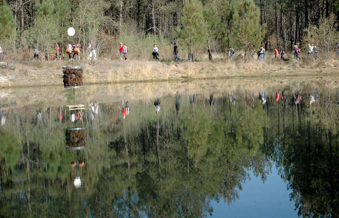 Lagunes de Nabias 7 - Arue
