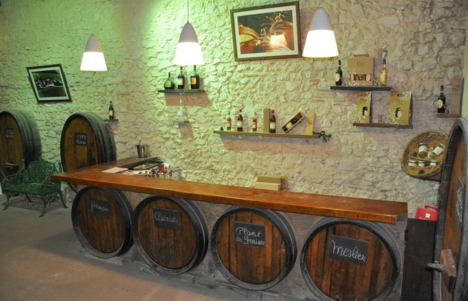 Domaine de Paguy 2 - Betbezer-d'Armagnac