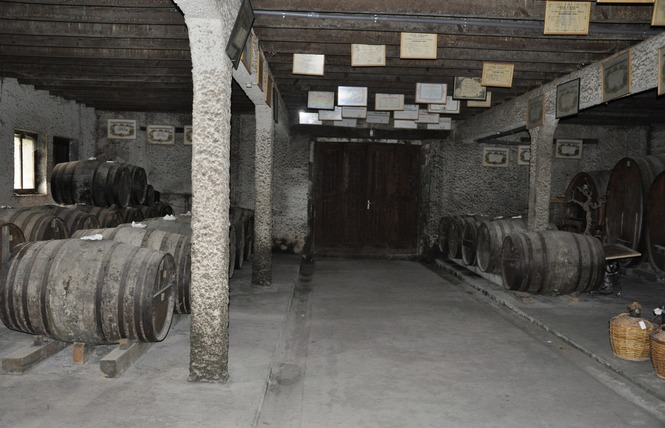 Domaine de Paguy 3 - Betbezer-d'Armagnac