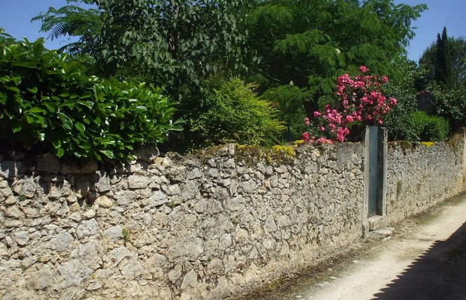 Visite commentée de Labastide d'Armagnac 7 - Labastide-d'Armagnac